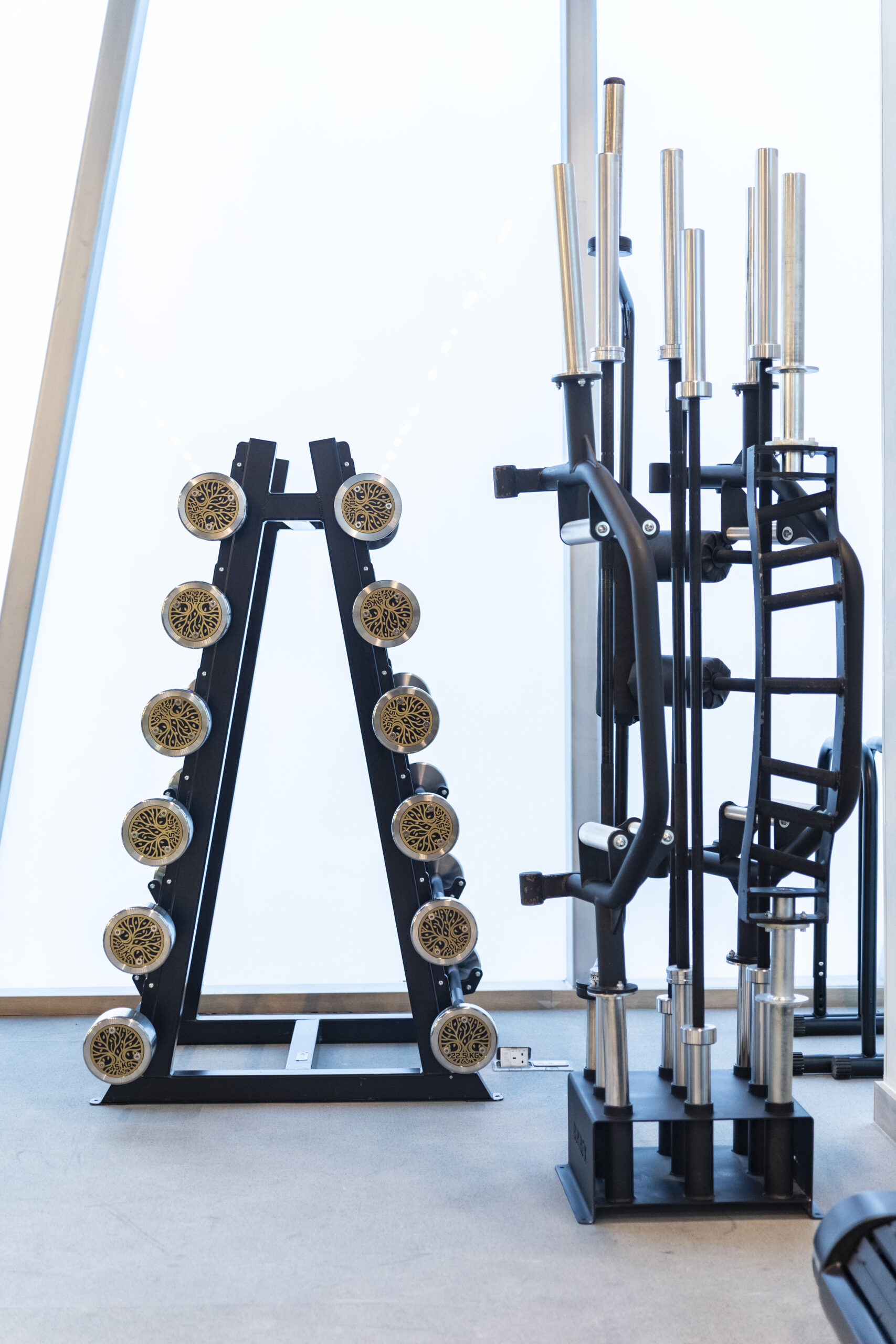 Membership – Lifelab Integrated Wellness