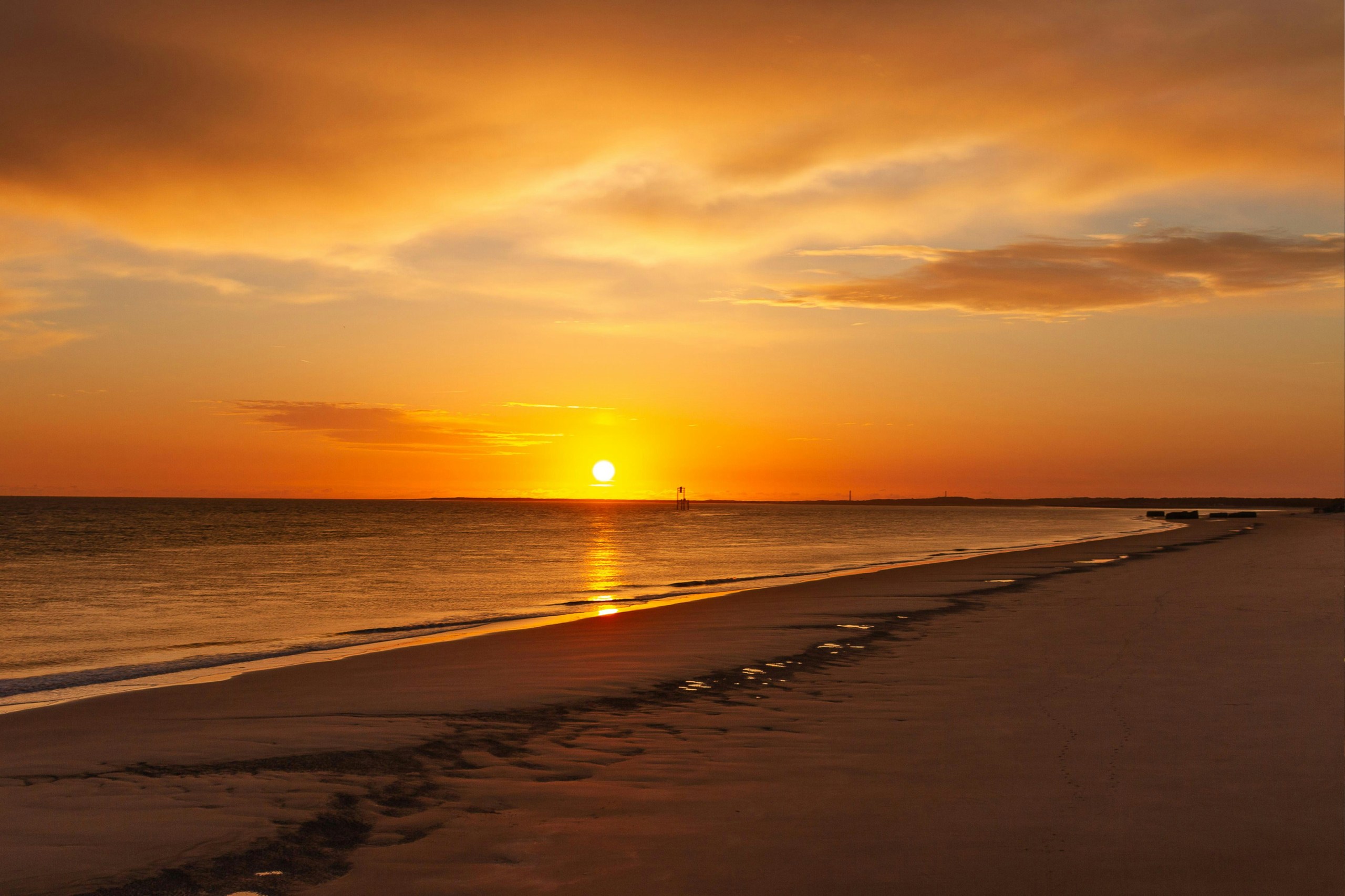 Image for a sunrise Red Sea nature walk.